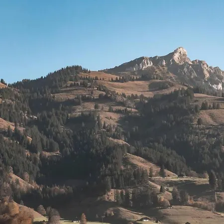 Hidden Retreats The Mountainhut * Wengi bei Frutigen